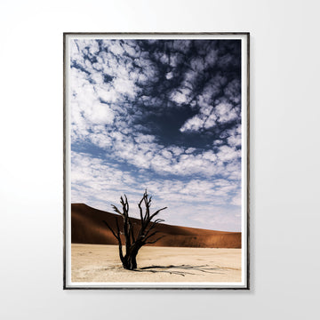 Deadvlei #1